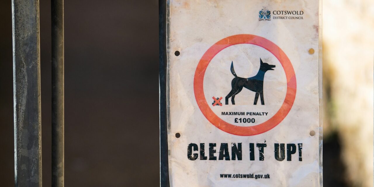 That’s a Shitty Thing To Do