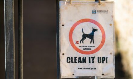 That’s a Shitty Thing To Do